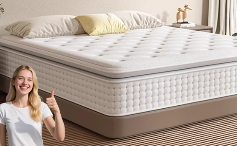 Home Queen Mattress best